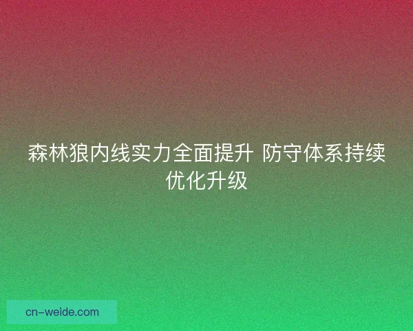 森林狼内线实力全面提升 防守体系持续优化升级